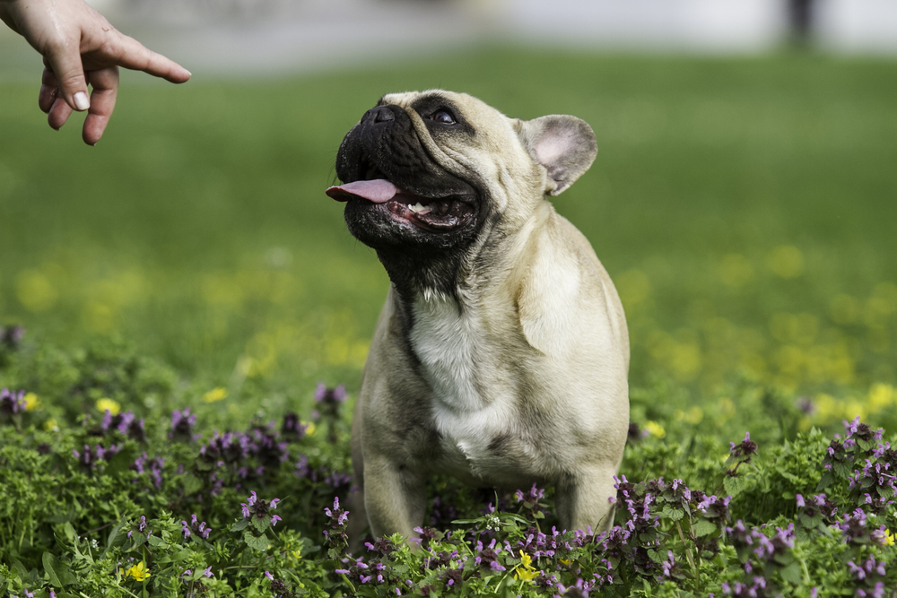 Course Video Thumbnail