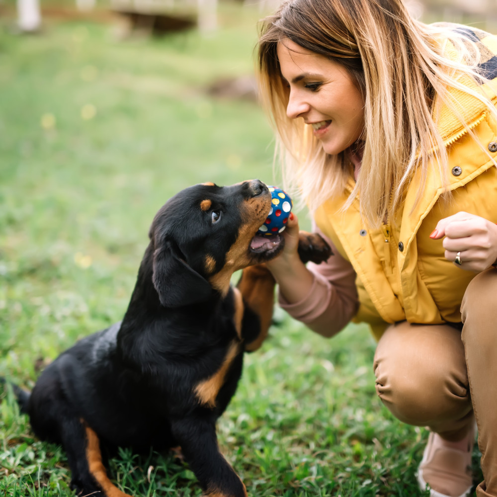 Watch Puppy Training 101: Proper Management