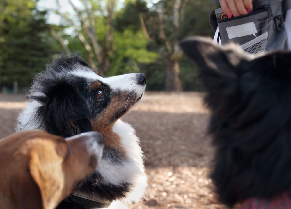 Course Video Thumbnail