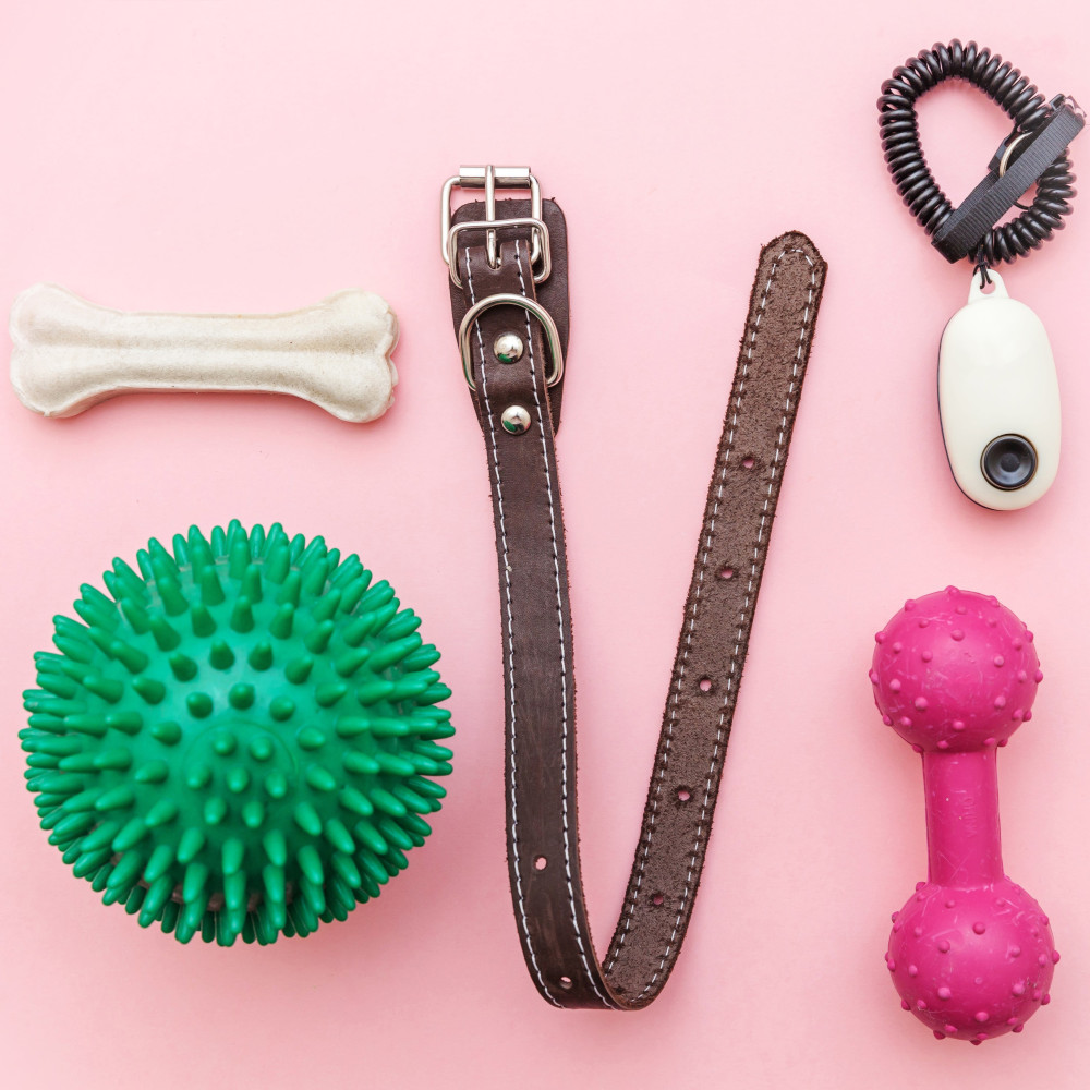 Watch The Art of Rewards: Handy Tools for Dog Training