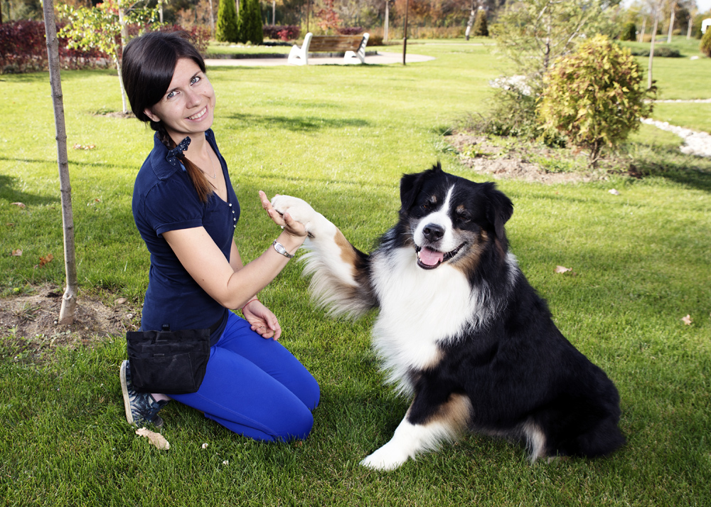 Basic Obedience Training Program