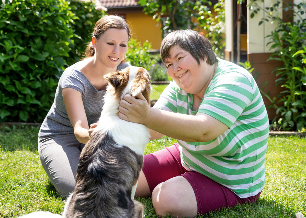 Psychiatric Service Dog Training