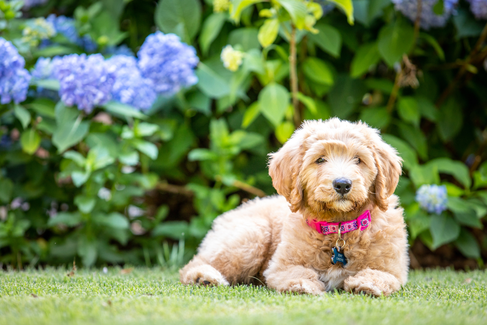 Course Video Thumbnail