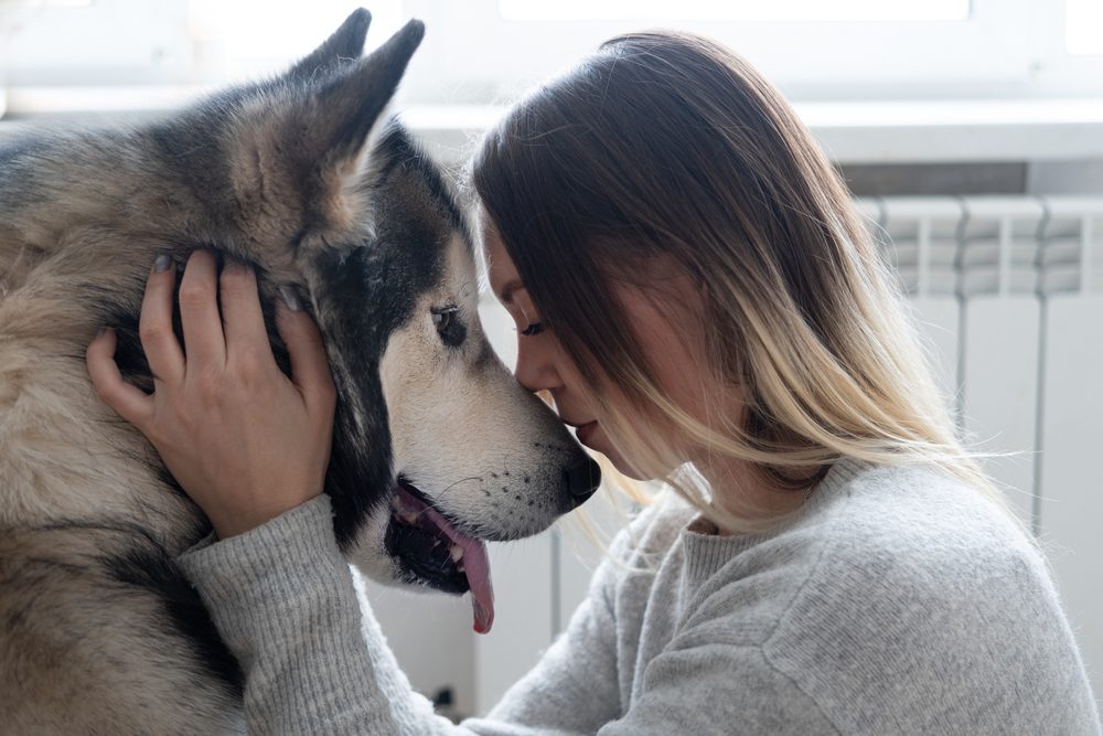 girl and alaskan husky