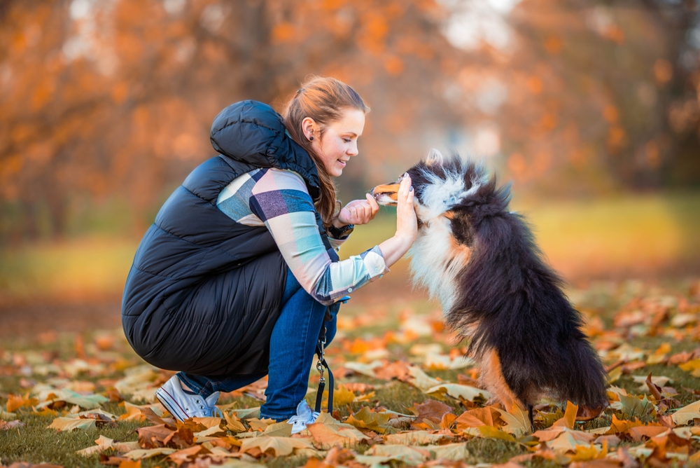 Marker or Clicker Training