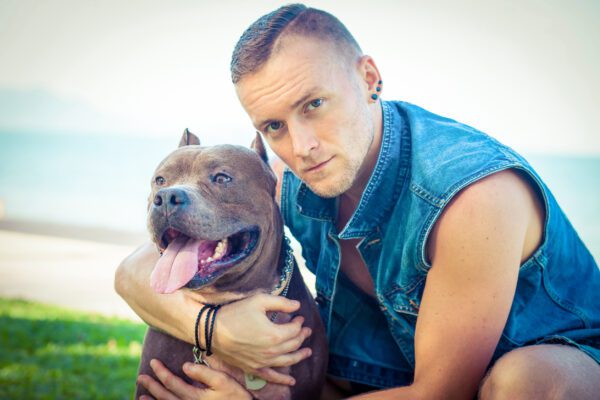Pocket Pitbull Relaxing At The Park With Owner