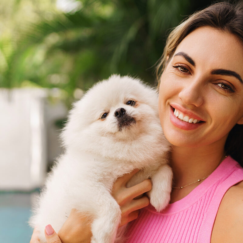 Pretty brunette woman with wavy hairs  hugging with cute playful pomeranian puppy  in her own stylish villa with pool.