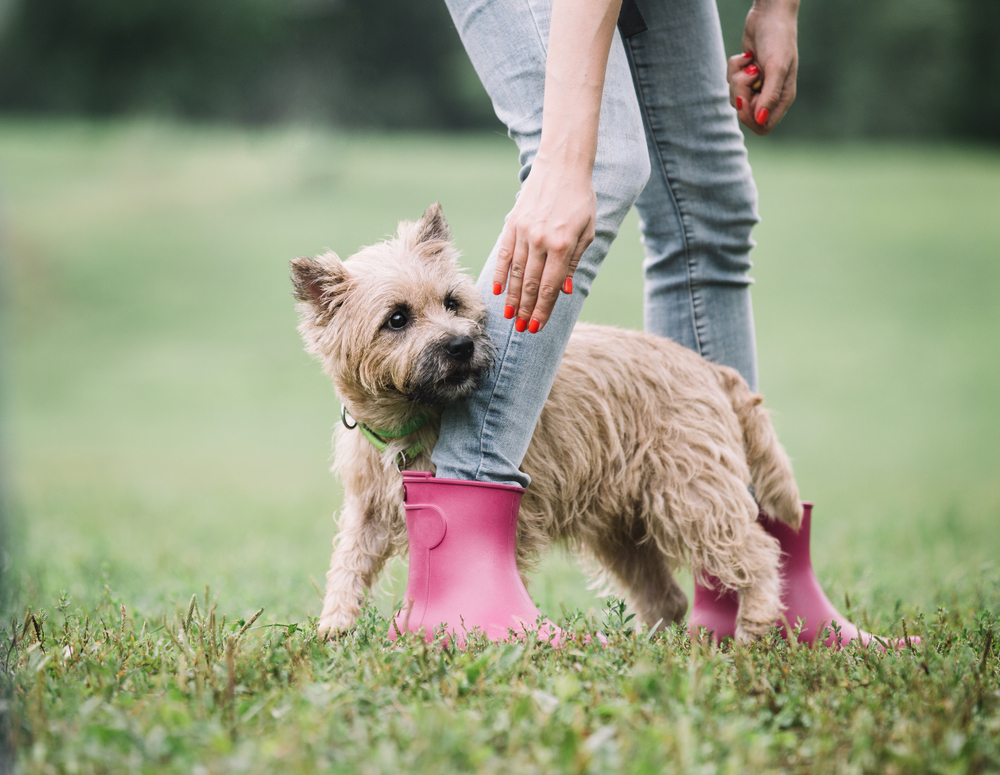 Course Video Thumbnail