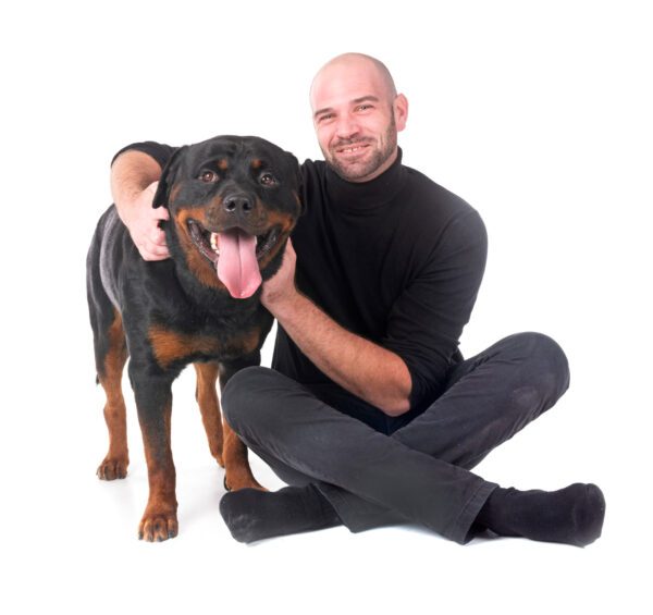 Rottweiler And Man Posing
