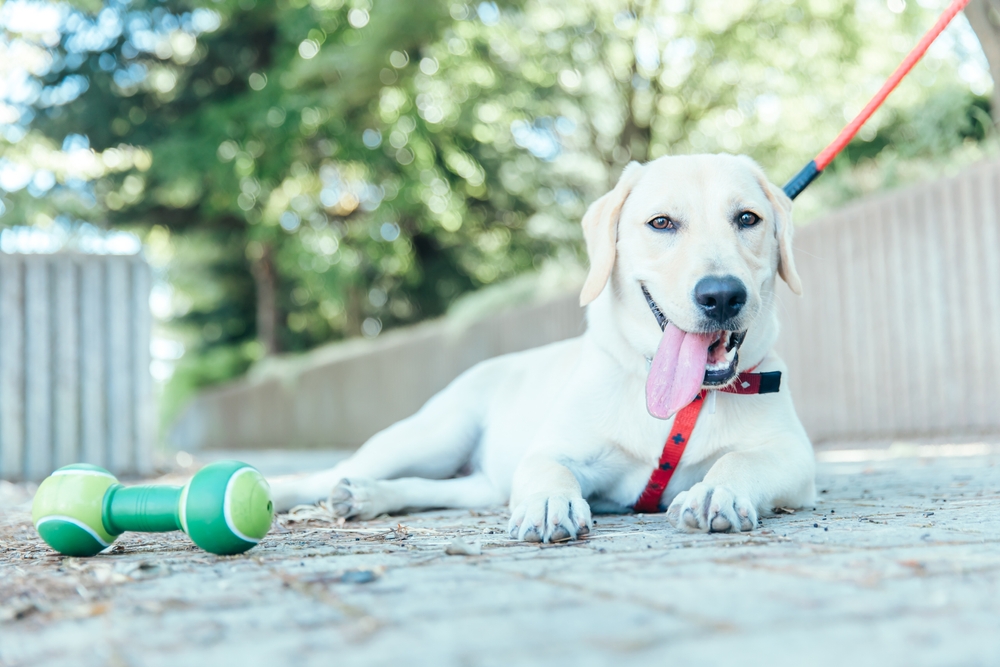 Course Video Thumbnail