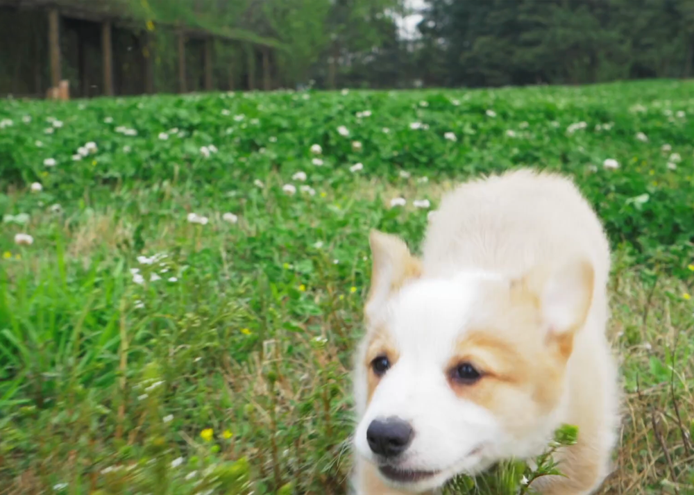 Course Video Thumbnail