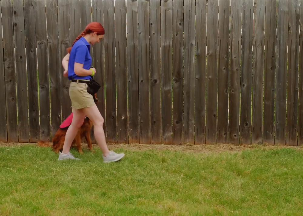 Course Video Thumbnail