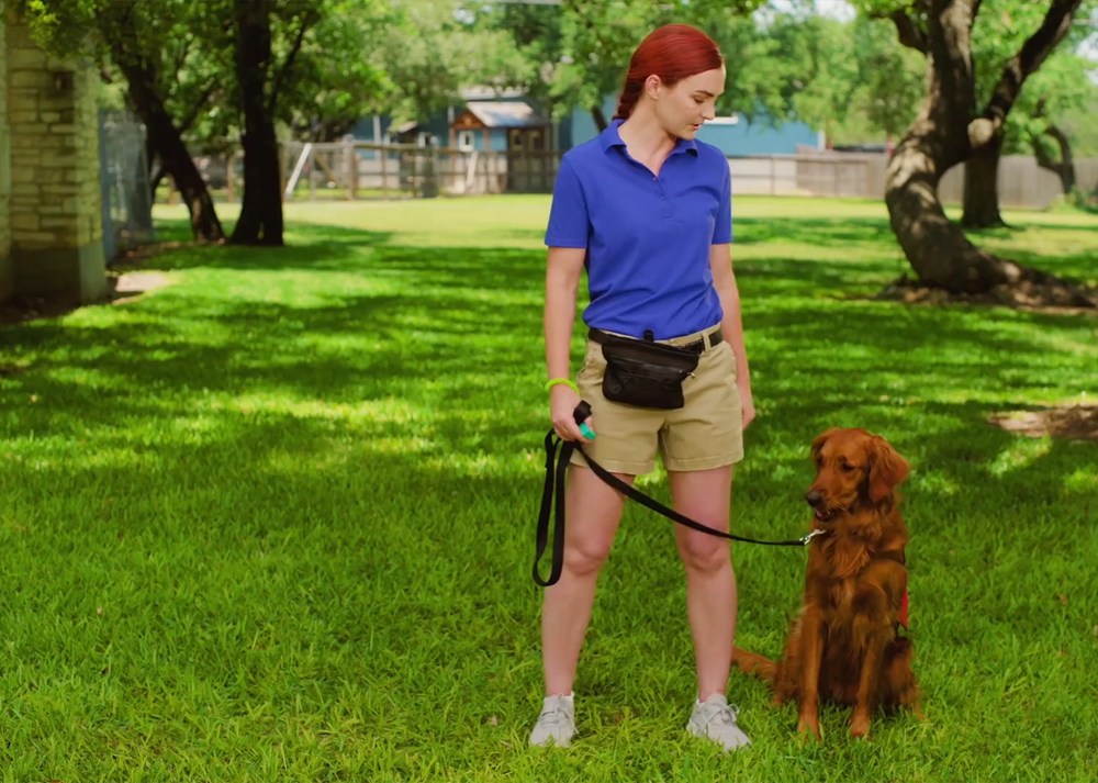 Course Video Thumbnail