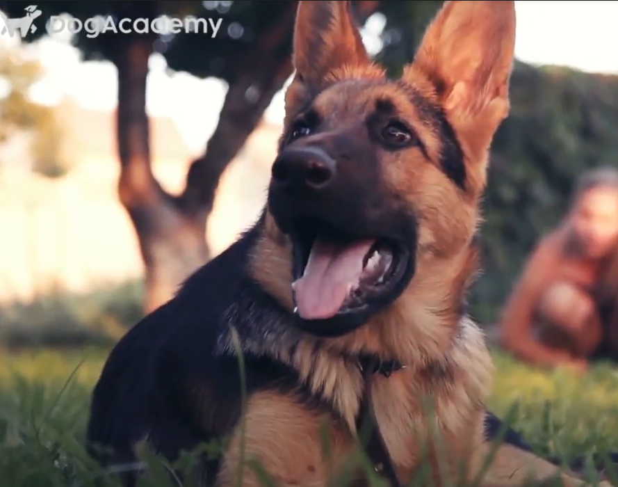 Course Video Thumbnail