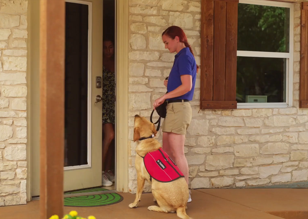 Course Video Thumbnail