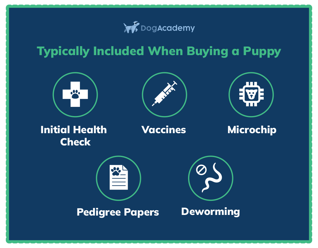 Typically Included When Buying a Puppy: Initial Health Check, Vaccines, Microchip, Pedigree Papers, Deworming.